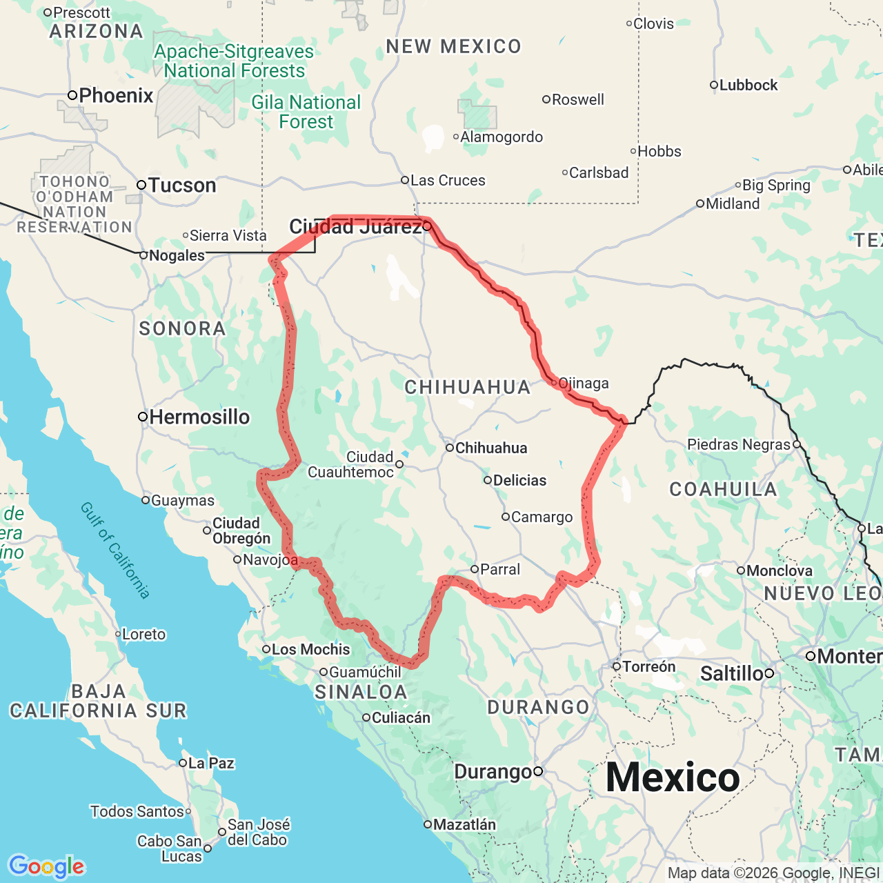 Chihuahua 