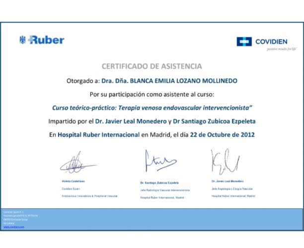 Curso Teórico-Práctico en Terapia Venosa Endovascular Intervencionista – Hospital Ruber Internacional, Madrid